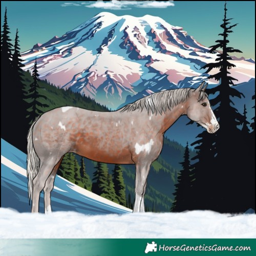 Horse Color:White Spotted Silver Brown Splash Tobiano Skewed LP Spotted