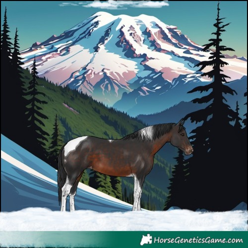 Horse Color:Brown Tobiano Varnish 