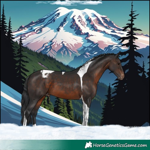 Horse Color:Brown Tobiano Varnish