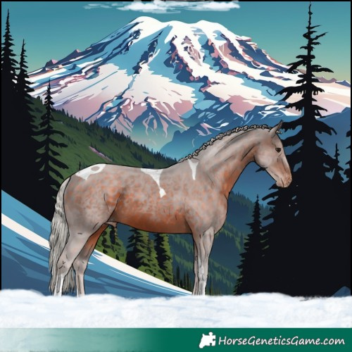 Horse Color:Silver Brown Tobiano Skewed LP Spotted 