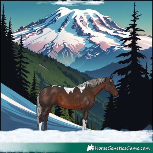 Horse Color:Silver Brown Tobiano