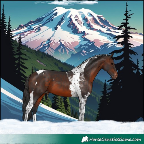 Horse Color:Brown Tobiano Varnish 
