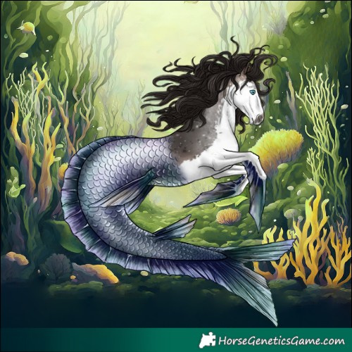 Horse Color:Gray White Spotted Bay Splash