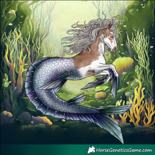 Horse Color:Silver Bay Splash Rabicano