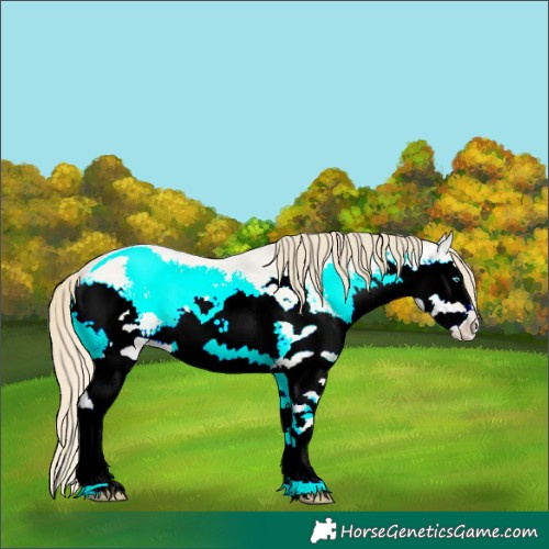 Horse Color:Classic Champagne Roan Snowdrop Pearl Onyx Merle Sabino Splash Rabicano