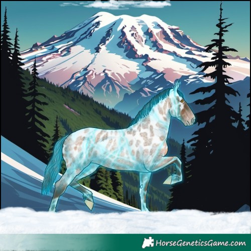Horse Color:Gray Thunderstruck Amber Champagne Roan Skewed LP Spotted Rabicano