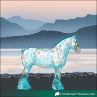 Horse Color:Gray Thunderstruck Amber Champagne Roan Skewed LP Spotted Rabicano 