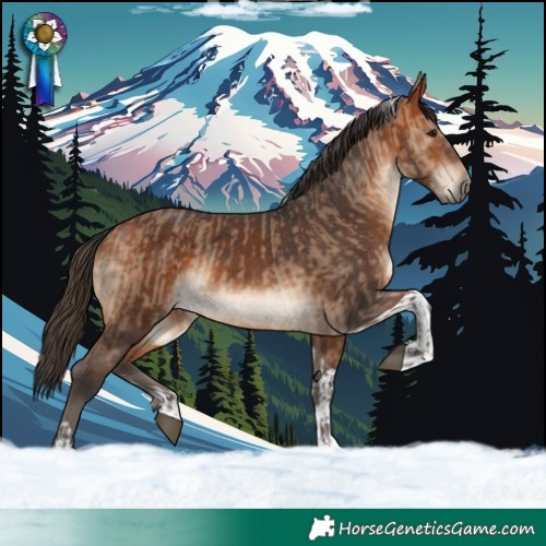 Horse Color:Brown Dun and Bay Tobiano