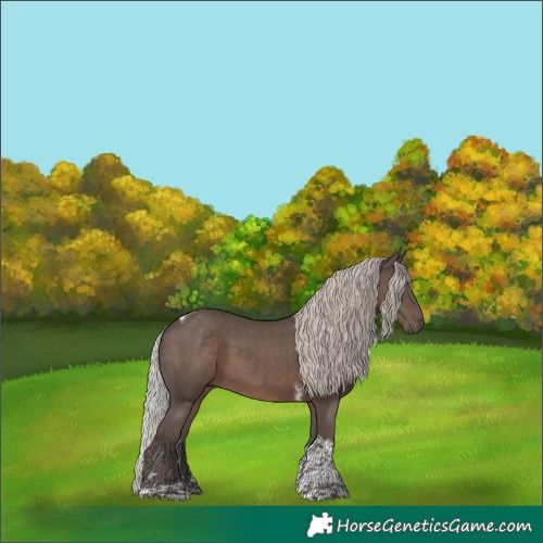 Horse Color:Silver Black Tobiano 