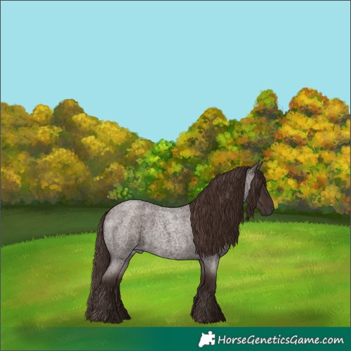 Horse Color:Liver Red Roan