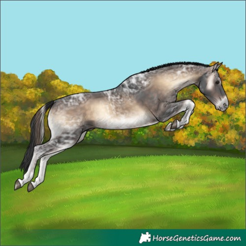 Horse Color:Brown Ice Onyx