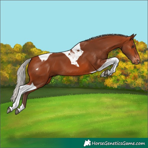 Horse Color:Silver Bay Tobiano Varnish