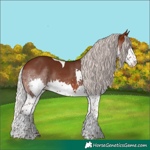 Horse Color:Silver Bay Splash Tobiano