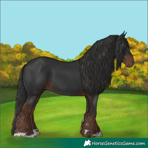 Horse Color:Liver Chestnut 