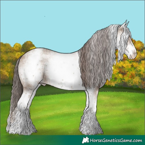 Horse Color:White Spotted Classic Champagne