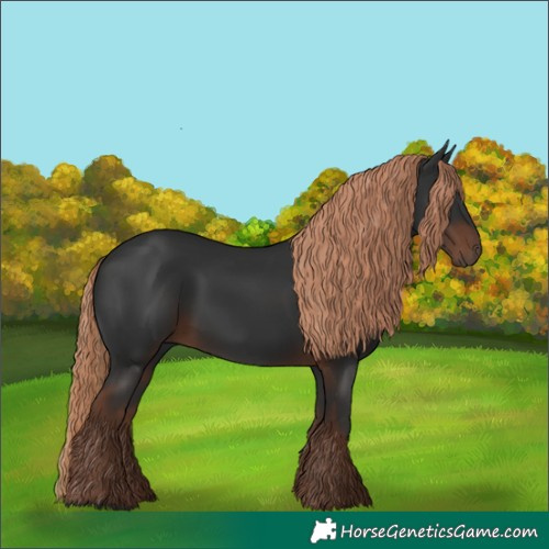 Horse Color:Liver Chestnut 