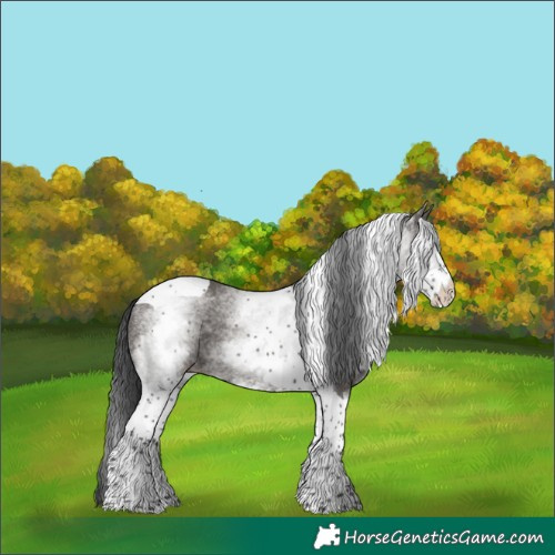 Horse Color:White Spotted Grullo Tobiano