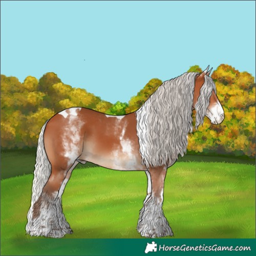Horse Color:White Spotted Silver Bay Tobiano 