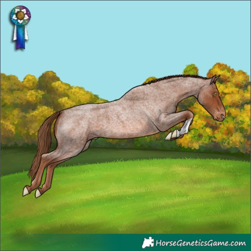 Horse Color:Red Roan Varnish