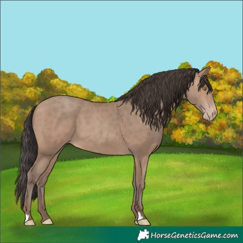 Horse Color:Sable Champagne