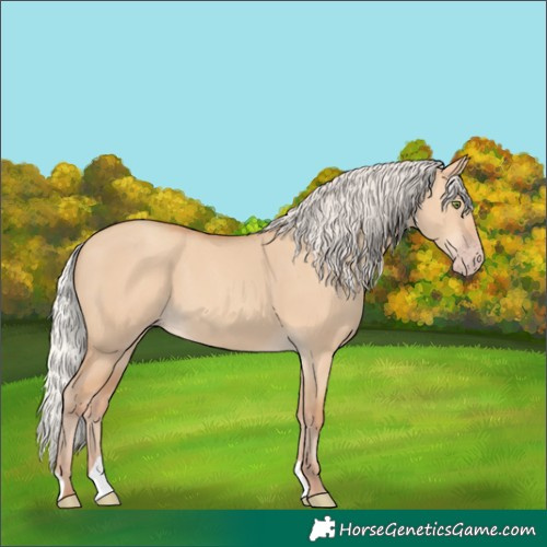Horse Color:Silver Amber Champagne Dun