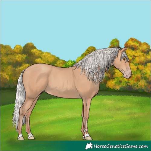 Horse Color:Silver Amber Champagne 
