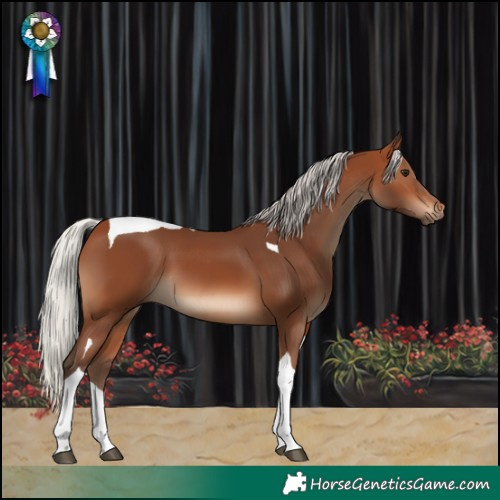 Horse Color:Silver Brown Tobiano