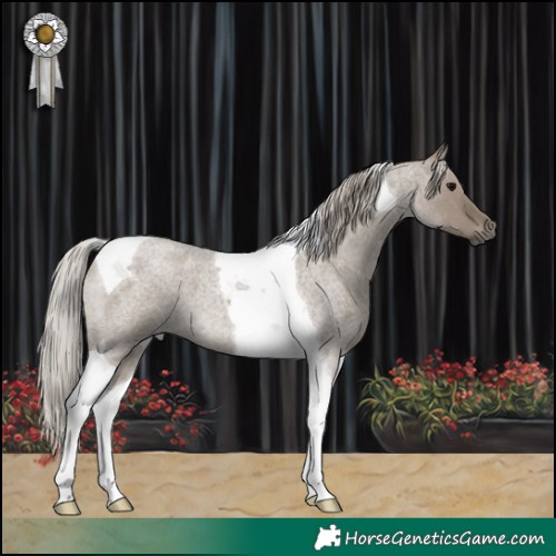 Horse Color:Silver Grullo Roan Tobiano
