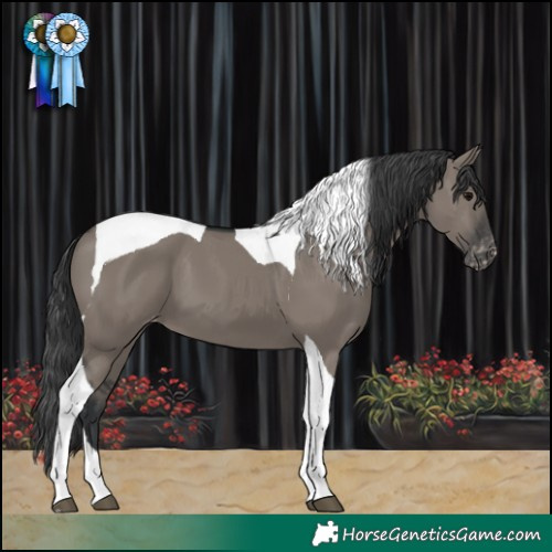 Horse Color:Grullo Tobiano Varnish