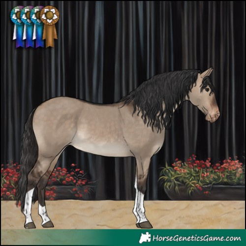 Horse Color:Brown Dun Tobiano Varnish 