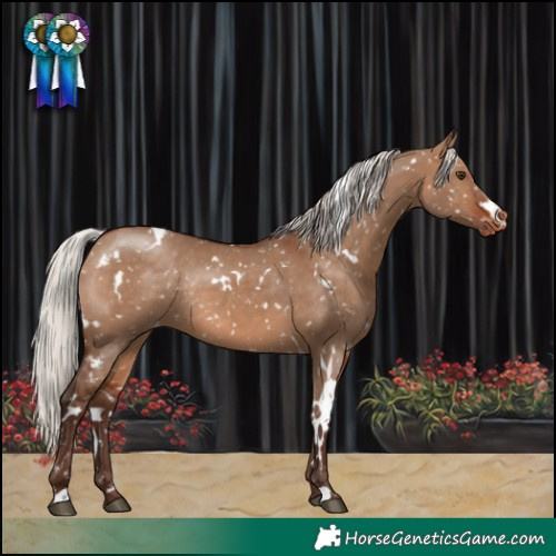 Horse Color:White Spotted Silver Brown Dun Snowflake Varnish Rabicano