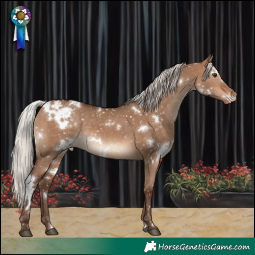 Horse Color:White Spotted Silver Bay Dun Snowcap
