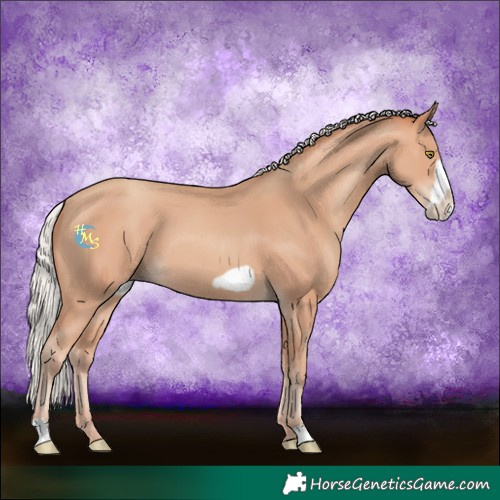 Horse Color:Silver Amber Champagne Frame 