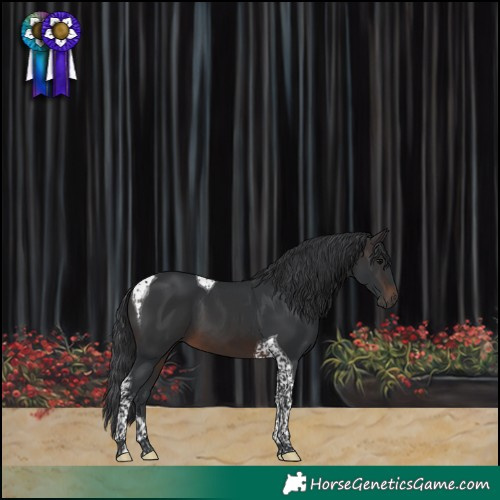 Horse Color:Brown Tobiano