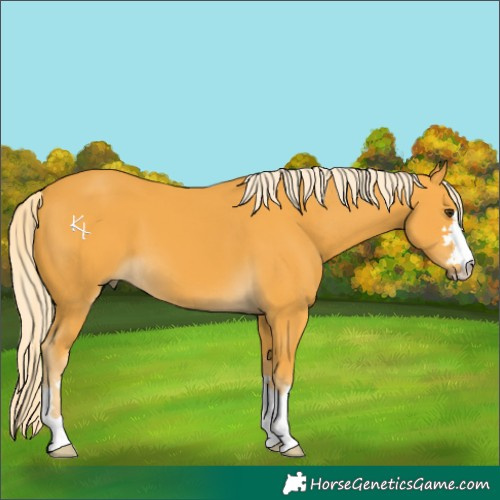 Horse Color:Palomino