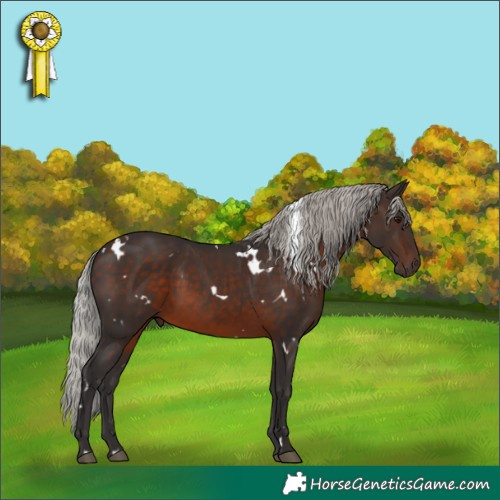 Horse Color:White Spotted Silver Brown