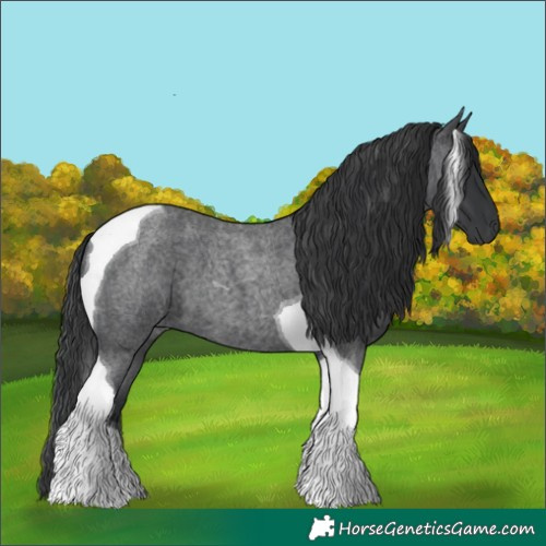 Horse Color:Blue Roan Tobiano 
