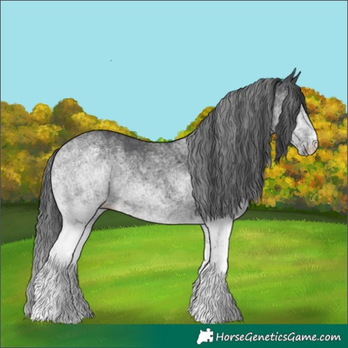 Horse Color:White Spotted Black