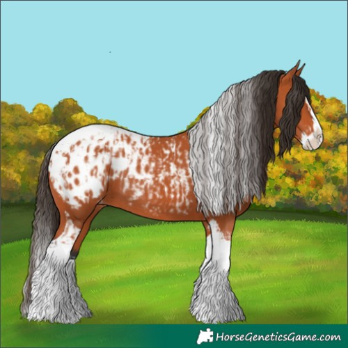 Horse Color:Bay Splash Tobiano Blanket and Bay Splash Tobiano Blanket Rabicano