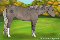 Horse Color:Silver Black 