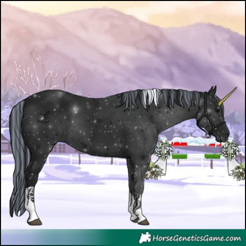 Horse Color:Gray Painted Black Tobiano
