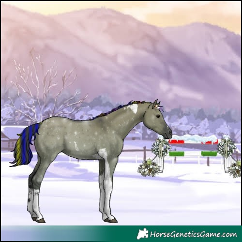 Horse Color:Painted Grullo Tobiano 
