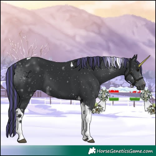 Horse Color:Painted Black Tobiano