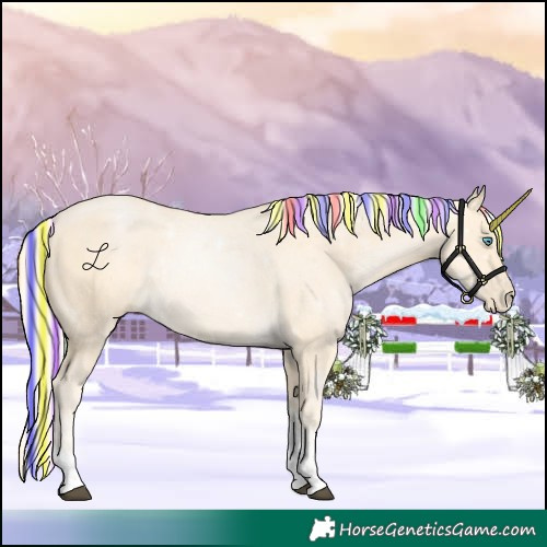 Horse Color:Painted Palomino Snowdrop Tobiano 