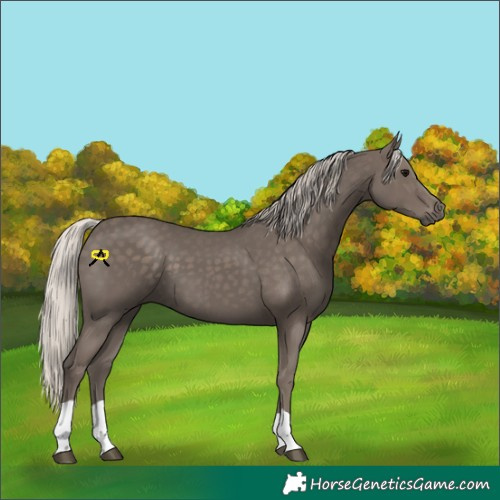 Horse Color:Silver Black 