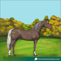 Horse Color:Silver Black 
