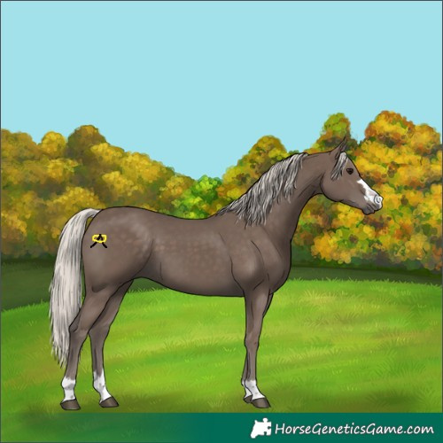 Horse Color:Silver Black
