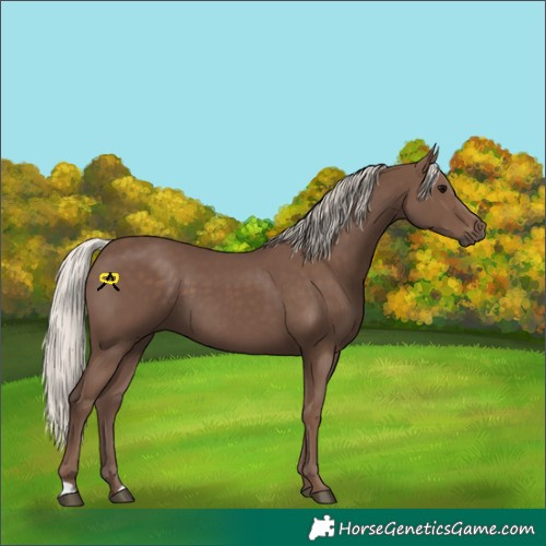Horse Color:Silver Black 