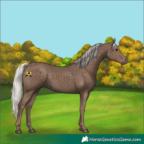 Horse Color:Silver Black