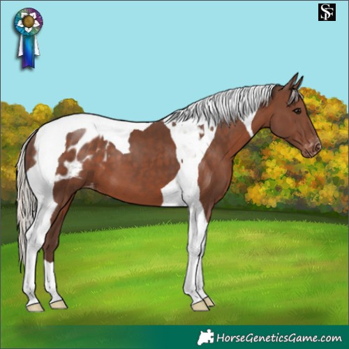Horse Color:Silver Black Tobiano Blanket 